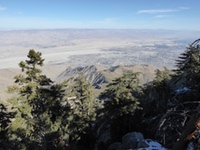 Palm Springs1-Tramway Overlook